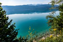 Klares Wasser - Der Walchensee liegt in einem Landschaftsschutzgebiet. • © alpintreff.de - Christian Schön